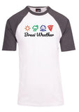 Braai Weather - Raglan